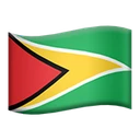 Drapeau : Guyana