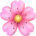 Fleur de cerisier