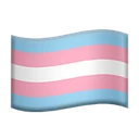 Drapeau transgenre