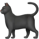 Chat noir