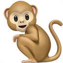 Singe