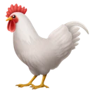 Coq