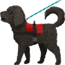 Chien d’assistance