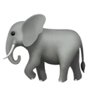 Éléphant
