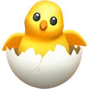 Poussin qui éclôt