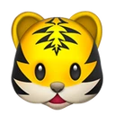 Tête de tigre