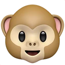 Tête de singe