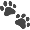 Empreintes d’animaux