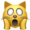 Chat fatigué