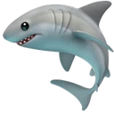 Requin
