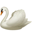 Cygne
